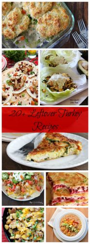 20+ Leftover Turkey Recipes