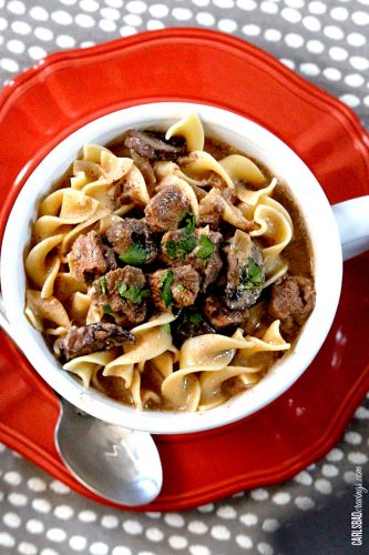 Slow Cooker Beef Stroganoff Soup