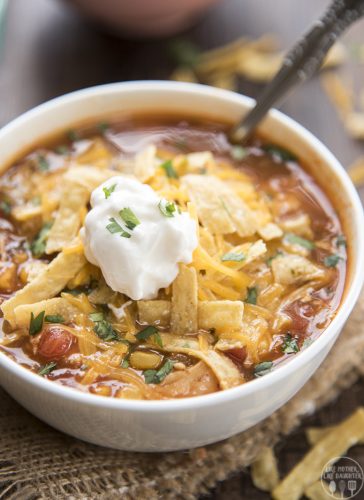 Slow Cooker Chicken Enchilada Soup